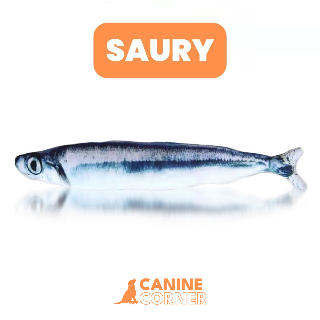 FloppyFin - Interactive Self-Moving Dog Toy
